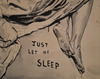 https://www.andreasleikauf.net:443/files/gimgs/th-51_just let me sleep.jpg